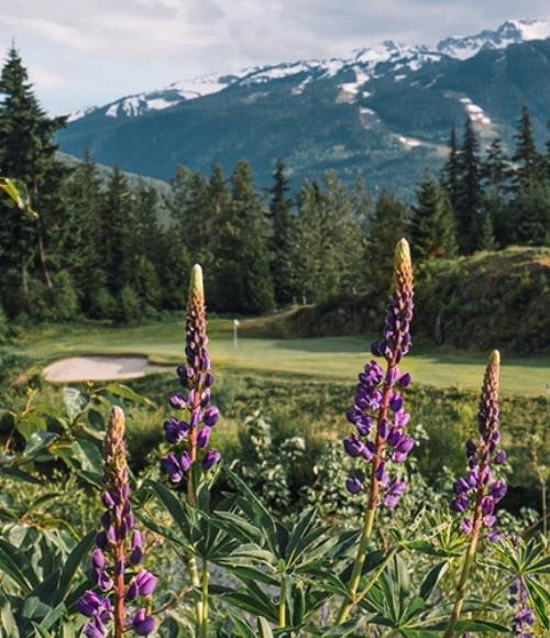 Fairmont Chateau Whistler Golf Club