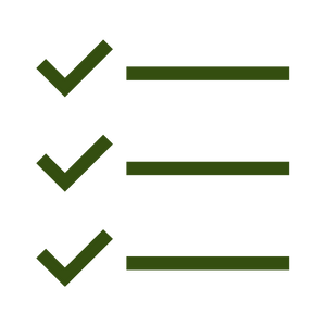 Checklist Icon