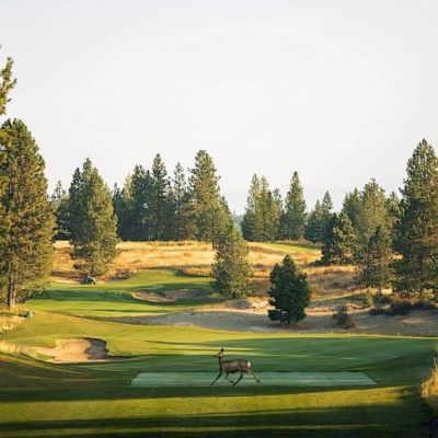 Shadow Mountain Golf - Kimberley Shadow Mountain Golf - Kimberley